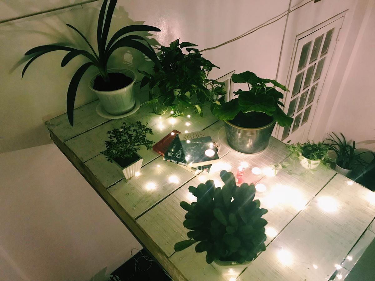 The Balcony Bnb Dalat Exteriör bild